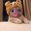 John Lavalley - @johnlavalley_6508 - TikTok
