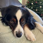 John Lavallee - @jtcilavjl - Instagram