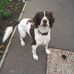 John Lavell - Facebook
