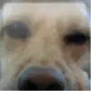 john_law23 - @john_law23 - TikTok
