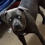John Leafe - @leafejohn - Instagram