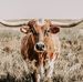 John Leaman - Facebook