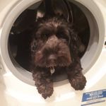 john leamy - @john.leamy - Instagram