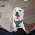 John Leatherman - @majdownlj - Instagram