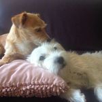 John Leclaire - @leclaire_john - Instagram