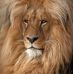 John Ledbetter - Facebook