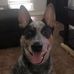 John Ledbetter - Facebook