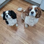 John Leese - @johnleese48 - Instagram