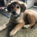John Leeson - Facebook