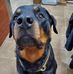 John Legault - Facebook