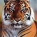 John Legrande - Facebook