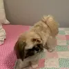 John Leighton - @john.leighton3 - TikTok