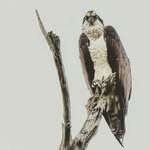 John Lemen - @johnlemenphoto - Instagram