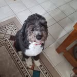 John Lemming - @lemmingjohn - Instagram