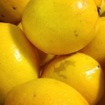 John Lemon - @john._.lemon - Instagram