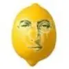 John lemon - @johnlemoon - TikTok