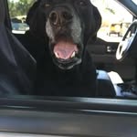 John Lenox - @john.lenox.58 - Instagram