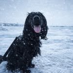 Long John Lenton - @j.s.lenton - Instagram