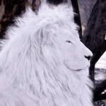 John Leon Guerrero - @john.lg.67 - Instagram