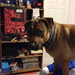 John Leonetti - @john.leonetti - Instagram