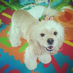 Johnetta Leonetti - @johnettaleonetti - Instagram