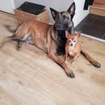 john lesch - @lesch.john - Instagram