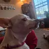 JuhnnyBoi... (ErRor!) - @johnglevaiii - TikTok