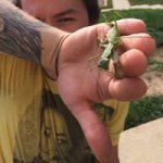 John Levesque - @atman347 - Instagram