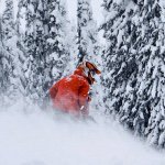 John Levesque - @john.levesque - Instagram