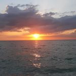 John Levesque - @john.levesque.1656 - Instagram