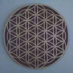 John Licari - @johnlicari123 - Instagram