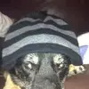John Lilly - @johnlilly2112 - TikTok