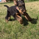 John Limbach - @jlimbach2 - Instagram