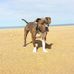 John Limbach - Facebook