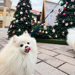 John Lin - @johnlin_lin - Instagram