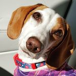 Willow Bloom (John Lindow) - @_willowbloom19_ - Instagram