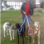 John Lingley - @johnlingley12 - Instagram
