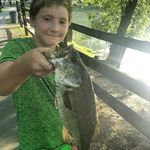 john link - @jtlink76 - Instagram