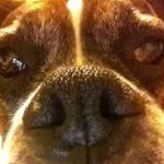 John Linn - @john.linn.9081 - Instagram