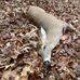 John Linthicum - Facebook