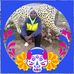 John Lion - Facebook