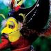 John Lion - Facebook
