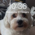 John Liston - @liston1965 - Instagram