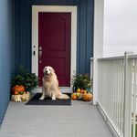 John Littler - @gto05 - Instagram