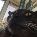 John litz - @johnlitz46 - Instagram