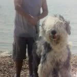 John Livesey - @livesey2108 - Instagram