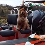 John Loftus - @greenwayhostel - Instagram