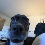 John Loftus - Facebook