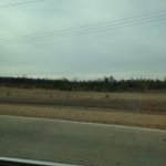 John - @john_king_longan - Instagram