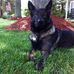 John Longnecker - Facebook